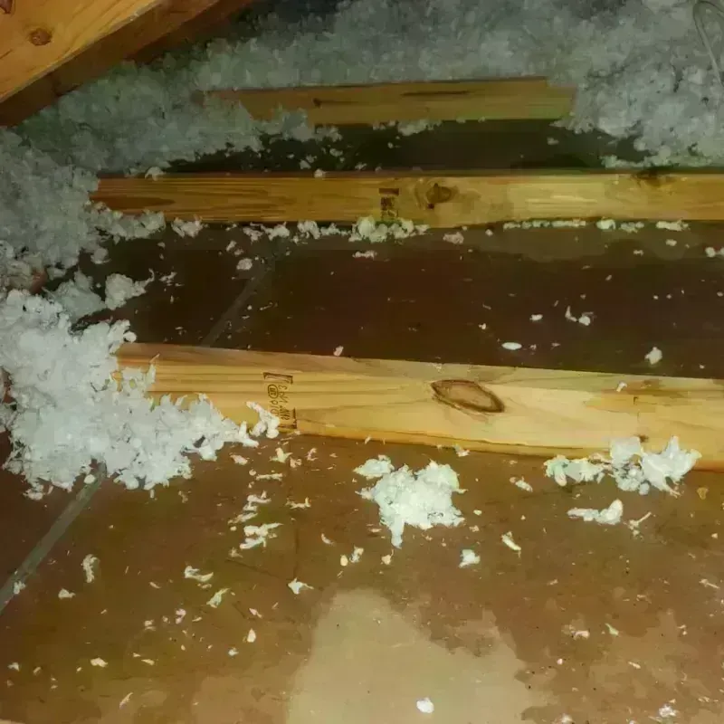 Attic Water Damage in Ohatchee, AL