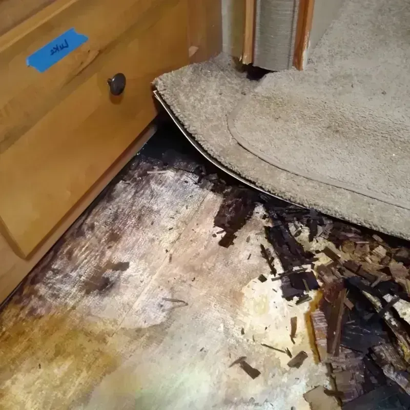 Best Wood Floor Water Damage Service in Ohatchee, AL